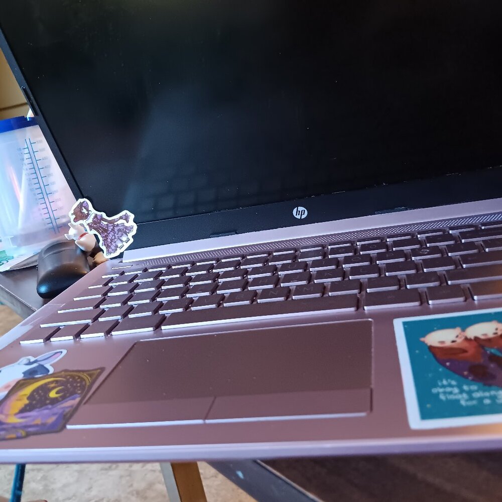 Hp pink laptop